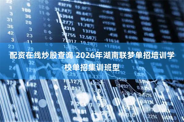 配资在线炒股查询 2026年湖南联梦单招培训学校单招集训班型