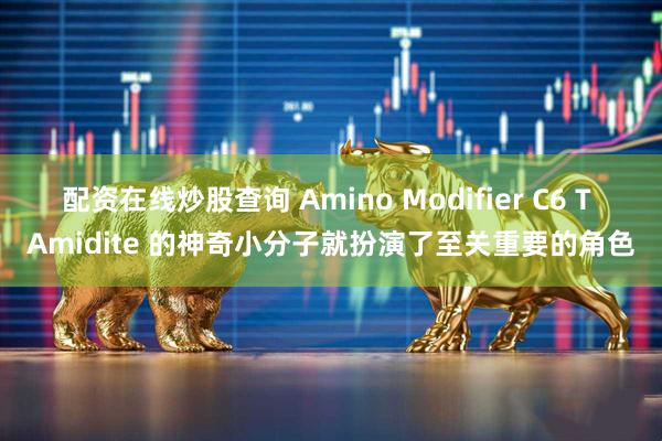 配资在线炒股查询 Amino Modifier C6 T Amidite 的神奇小分子就扮演了至关重要的角色